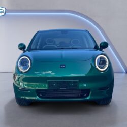 auto-JAC-E30X-JOG284-202505280918-7