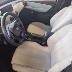 auto-DS-3-Crossback-XRO459-202507291200-8