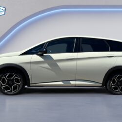 auto-BYD-Dolphin-YXT582-202509021523-3