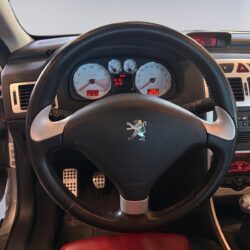 auto-Peugeot-307-SMU380-202605251639-10
