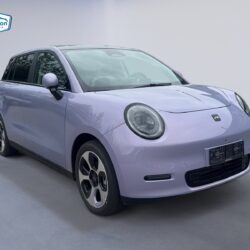 auto-JAC-E30X-CSO327-202606051042-6