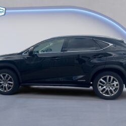 auto-Lexus-NX-141491-202608171452-1