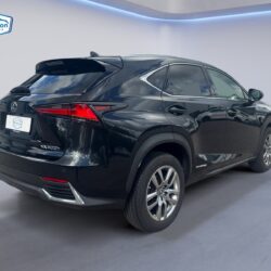 auto-Lexus-NX-141491-202608171452-4