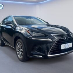auto-Lexus-NX-141491-202608171452-6