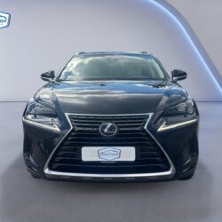 auto-Lexus-NX-141491-202608171452-7
